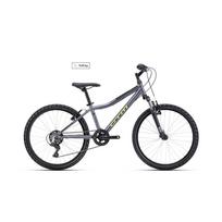 CTM Berry 24" - 2026 - matt gray dviratis