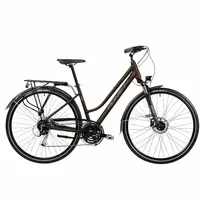 Bicycle ROMET Gazela 6, brown (M)