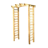 Medinė arka Pergola2