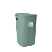 Dėžė skalbiniams STEFANPLAST Domus 50 l žalsva