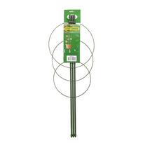 Atrama augalams GARDENITA H75 cm su 3 lankais