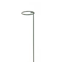 Atrama augalams GARDENITA H60 cm su kilpute