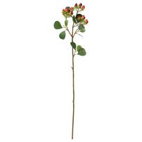 Dekoratyvinė jonažolės šakelė 4LIVING 636614 63 cm