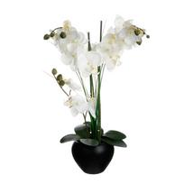 Dekoratyvinis augalas ATMOSPHERA 136510A Orchidėja su juodu vazonu 38x38x53 cm