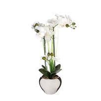 Dekoratyvinis augalas ATMOSPHERA 136510D Orchidėja su sidabriniu vazonu