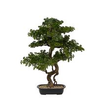 Dekoratyvinis augalas ATMOSPHERA Bonsas 72x36x86 cm 206547