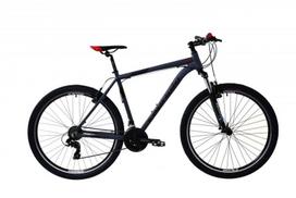Kalnų dviratis Capriolo LC 9.1, 29", pilkas/raudonas, Rėmas 21
