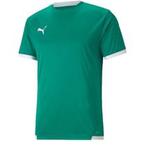 Vyriškas marškinėlis Puma teamLIGA Jersey, žalias, 704917 05, 2XL