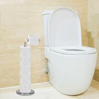Chromuotas 2-in-1 tualetinio popieriaus laikiklis Springos TS0001