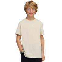 Puma ESS Small No.1 Logo Centered Tee marškinėliai vaikams, smėlio spalvos 692975 87