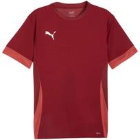 Vyriškas marškinėlis Puma teamGoal Matchday Jersey, bordo spalvos 705747 09