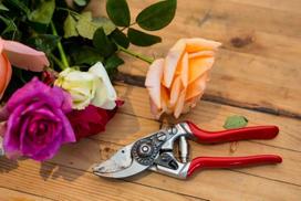 Sekator Felco 14 - 18cm, ergonomiškas, mažoms rankoms