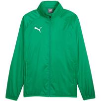 Vyriška striukė Puma Team Goal All Weather, žalia, 659038 05