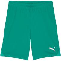 Vyriški Puma Team Goal šortai, žali 705752 05, S