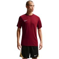 Vyriškas marškinėlis Nike Dri-Fit Park VIII, bordo spalvos, HV8173 677, XL