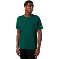 Vyriškas marškinėlis Champion SS Tee, žalias, 221798 GS584, S