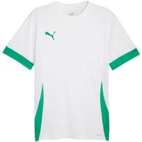 Vyriškas marškinėlis Puma teamGoal Matchday Jersey, baltos ir žalios spalvos, 705747 15