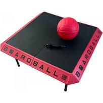 Boardball – naujas būdas mėgautis tinkliniu!