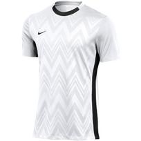 Vyriškas marškinėlis Nike Dri-Fit Challenge V Jsy SS, baltas, FD7412 100
