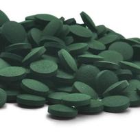 100/500pcs Spirulina Tablets Enrichment Favorite Pet Food fish crystal red shrimp pet food 50pcs žalia