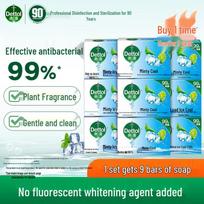 Dettol Peppermint Ice Cool Antibacterial Soap (15 x 105g)
