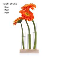 Plant Terrarium with Wooden Stand Desktop Live Plant Propagation Station Planter Glass Tubes Hydroponic Vase Air Planter Holder