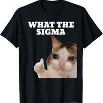 ERM What The Sigma Meme Cat Brainrot T-Shirt for Men Women Girls Kids S juoda