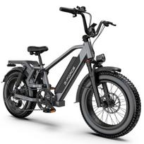 G-FORCE RS 15AH Suaugusiųjų elektrinis dviratis 750W variklis 48V 15AH baterija 20 colių ratai Visureigis E-dviratis Tinka važinėti bekelėje ir mieste pilka