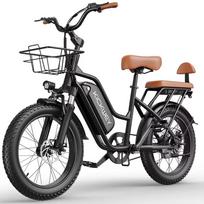 LD20 suaugusiųjų kalnų elektrinis dviratis 750W variklis Ebike 48V20Ah baterija miesto elektrinis dviratis 20 colių visureigio padanga elektrinis dviratis 750W 48V 20AH juoda
