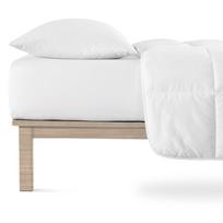 Paklodė iš jersey audinio baltos spalvos su guma 160x200 cm Boxspring – Andrea Simone