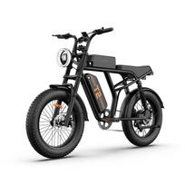 URLIFE-T2 Elektrinis dviratis 48V 15,6Ah Nuimama baterija 250W variklis be šepetėlių 160KM nuvažiuojamas atstumas 20 x4.0  storos padangos E-dviratis miestui ir bekelės kelionėms juoda