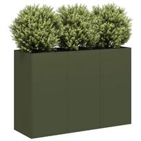 Lovelis alyvuogių žalias 120x40x80cm šaltai valcuotas plienas