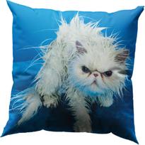 Seletti Dekoratyvinė pagalvėlė Toiletpaper Angry Cat 50 x 50 cm
