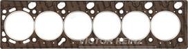 VICTOR REINZ Cilindro galvos tarpiklis Seal, cylinder head 61-29315-00