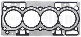 ELRING Cilindro galvos tarpiklis Seal, cylinder head 460.970