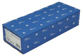 DELPHI Kuro purkštukas Injector Valve BEBE4D14101-12B1