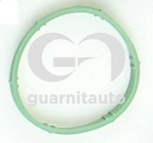 GUARNITAUTO Tarpiklis, įsiurbimo kolektorius 184763-8100