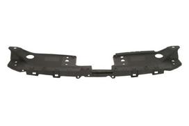 BLIC Priekinis variklio gaubtas 6502-03-3495209PP