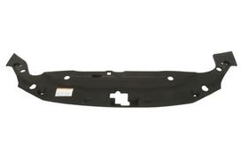 BLIC Priekinis variklio gaubtas 6502-03-8180209P