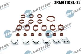 Dr.Motor Automotive Remonto komplektas, įsiurbimo kolektoriaus modulis DRM0110SL-32