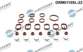Dr.Motor Automotive Remonto komplektas, įsiurbimo kolektoriaus modulis DRM0110SL-22