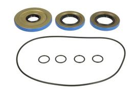 ALL BALLS Remonto komplektas, diferencialas Repair Kit, differential ALL BALLS 25-2121-5 25-2121-5