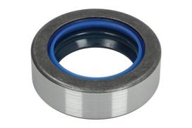 CARRARO Veleno sandariklis, diferencialas Shaft Seal, differential CARRARO 126403-CR 126403-CR