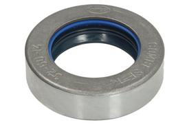 CARRARO Veleno sandariklis, diferencialas Shaft Seal, differential CARRARO 126880-CR 126880-CR