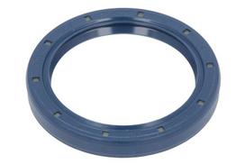 CARRARO Veleno sandariklis, diferencialas Shaft Seal, differential CARRARO 25484-CR 25484-CR