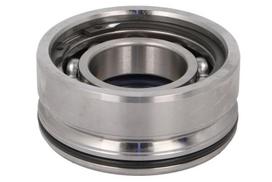 DANA SPICER Remonto komplektas, diferencialas Repair Kit, differential DANA SPICER 10174401-DS 10174401-DS