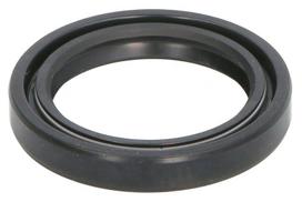 DANA SPICER Remonto komplektas, diferencialas Repair Kit, differential DANA SPICER 111.06.068.01-DS 111.06.068.01-DS