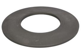 DANA SPICER Remonto komplektas, diferencialas Repair Kit, differential DANA SPICER 176.07.047.01-DS 176.07.047.01-DS