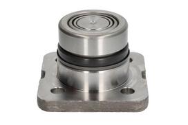 DANA SPICER Remonto komplektas, pasukamojo kakliuko kaištis Repair Kit, kingpin DANA SPICER 755.06.717.01-DS 755.06.717.01-DS