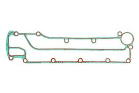 PARSUN Tarpiklis, svirties dangtis Gasket, cylinder head cover PARSUN F60-05000004 F60-05000004